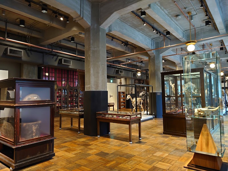 Intermediatheque